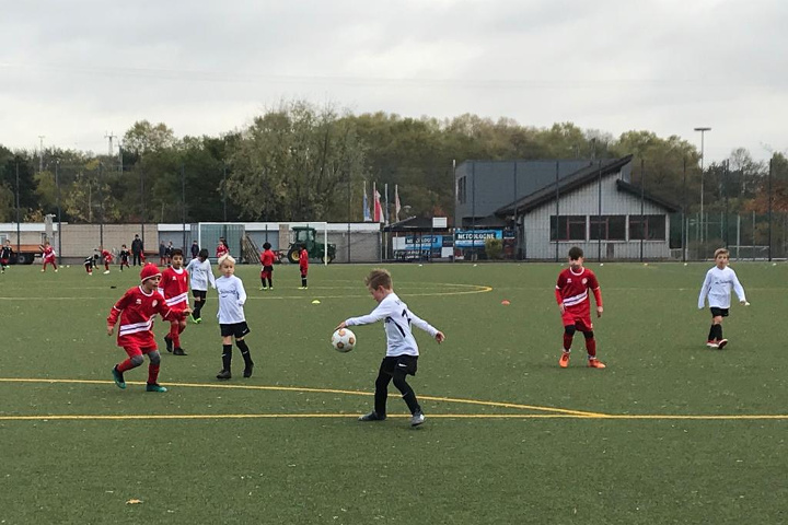 SC Fortuna Köln - VfB Linz